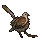 turtledove