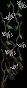Wallflower2
