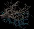 waterloggedbranchc