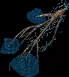 waterloggedbranche