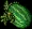 watermelonmedium