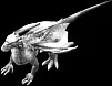 whitewyrmling1