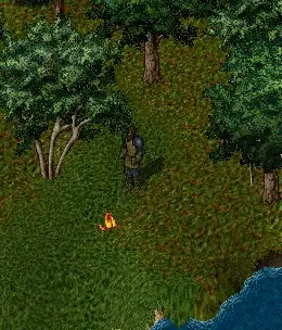 wiki camping03a