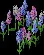 WildCrocus
