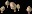 WildMushroom5
