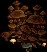 WoodEarMushroom
