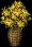 zucchiniblossomvase