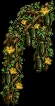 zucchiniflowerarchedtrellis
